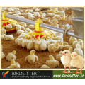 hottest sale broiler and breeder use poultry automatic control shed